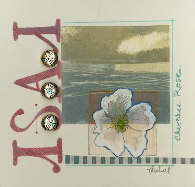 Cherokee Rose