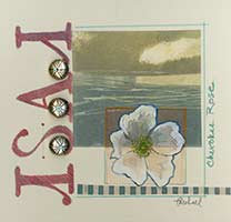 Cherokee Rose